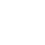 Robot Bulls logo